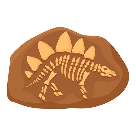 fossil