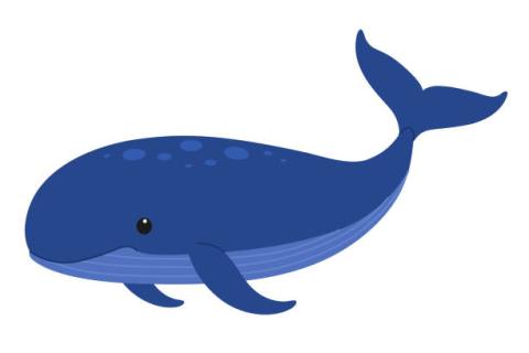 whale